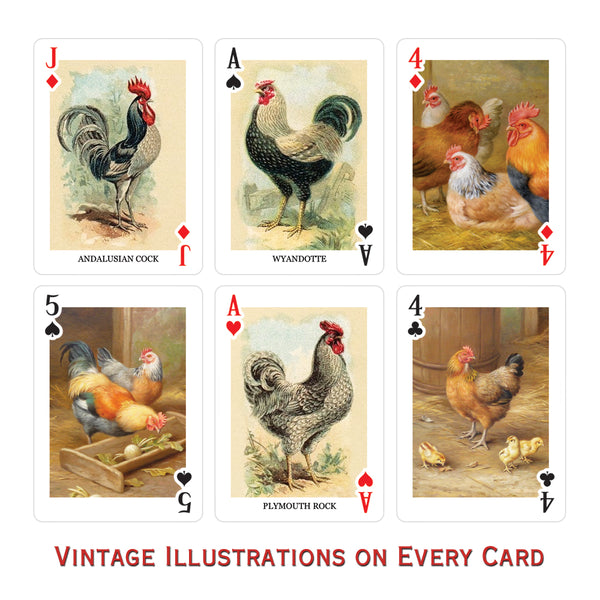 Chickens Playing Cards