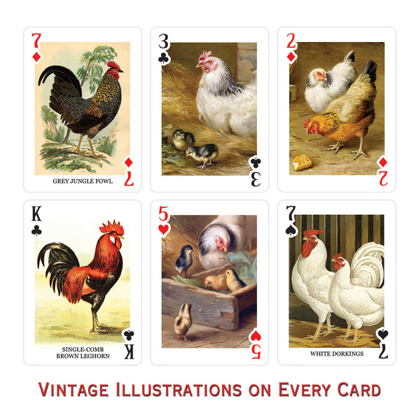 Chickens Playing Cards