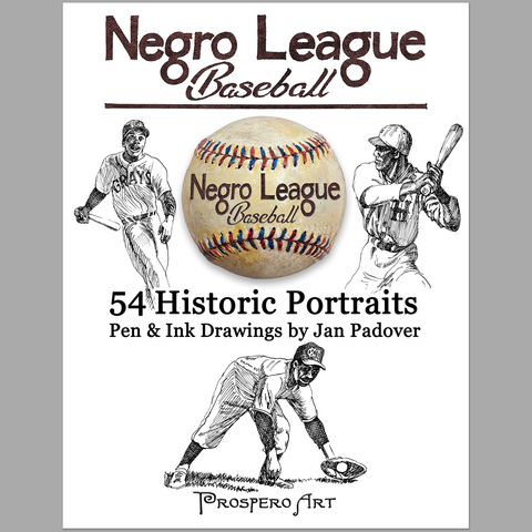 WHOLESALE - 30 BOOKS - Negro League Baseball 54 Historic Portraits